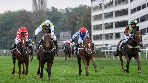 Slovenský valach Vandual (vlevo) kvůli zdravotním problémům nepoběží v neděli Velkou pardubickou. Slovenský valach Vandual (vlevo) kvůli zdravotním problémům nepoběží v neděli Velkou pardubickou.