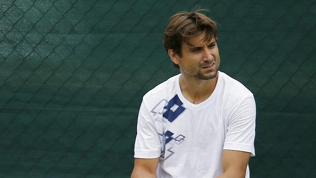 Španělský tenista David Ferrer Španělský tenista David Ferrer