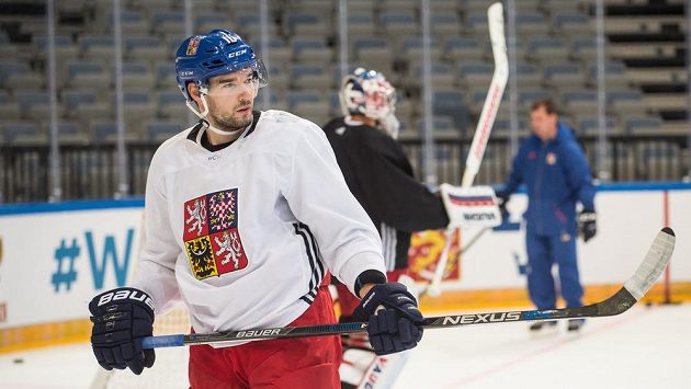 Útočník Michal Birner během tréninku české hokejové reprezentace. Útočník Michal Birner během tréninku české hokejové reprezentace.