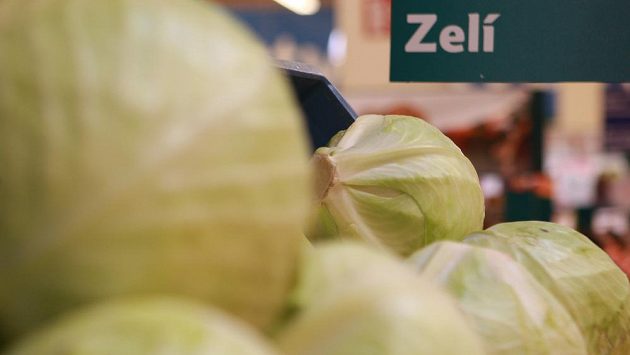 Zelí nemusí být jen na talíři s kachnou, ale může nám pomoci i od bolístek. Zelí nemusí být jen na talíři s kachnou, ale může nám pomoci i od bolístek.