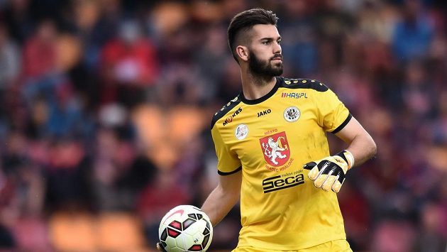 Hradecký brankář Tomáš Koubek věnuje v případě záchrany v Synot lize společně s Adrianem Rolkem prase. Hradecký brankář Tomáš Koubek věnuje v případě záchrany v Synot lize společně s Adrianem Rolkem prase.