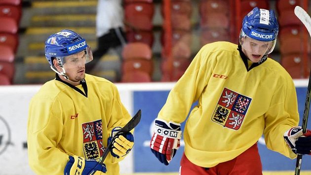 Petr Holík (vlevo) na archivním záběru z reprezntačního kempu. Petr Holík (vlevo) na archivním záběru z reprezntačního kempu.