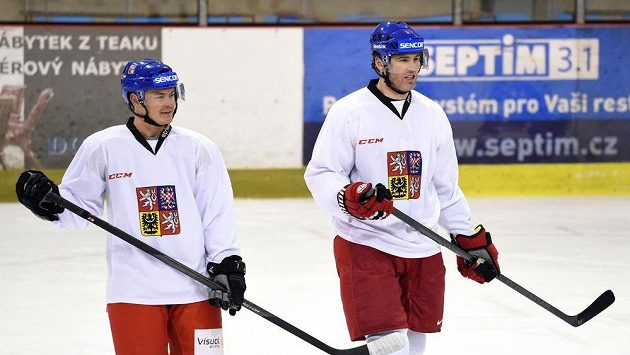 Útočníci Jiří Hudler (vlevo) a Jaromír Jágr se teď budou potkávat i na tréninku Floridy. Útočníci Jiří Hudler (vlevo) a Jaromír Jágr se teď budou potkávat i na tréninku Floridy.