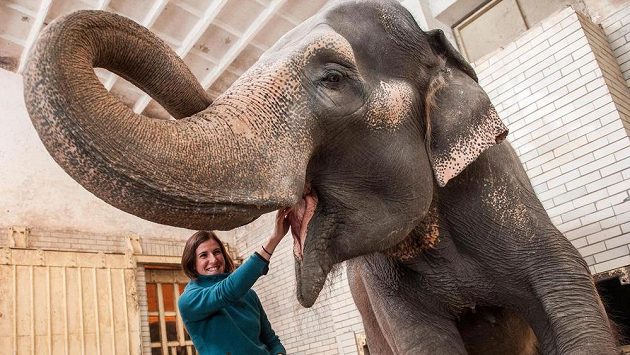 Během volna po sezóně stihla Zuzana Hejnová pokřtít i slonici Rání v liberecké zoo. Během volna po sezóně stihla Zuzana Hejnová pokřtít i slonici Rání v liberecké zoo.