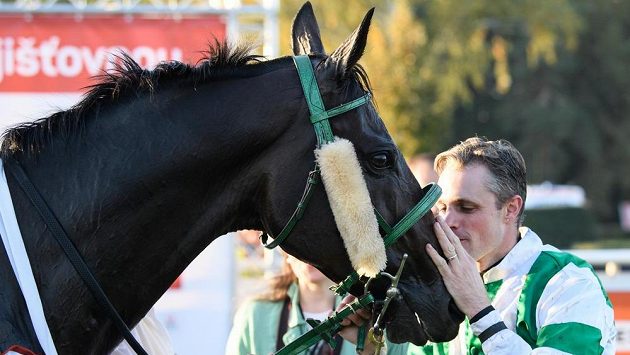 Vítěz loňské Velké pardubické žokej Josef Bartoš a kůň Theophilos. Vítěz loňské Velké pardubické žokej Josef Bartoš a kůň Theophilos.
