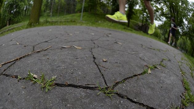 Boty nazout a běžet. Boty nazout a běžet.