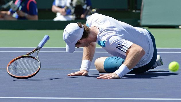 Andy Murray v utkání s Milosem Raonicem. Andy Murray v utkání s Milosem Raonicem.