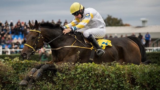 Žokej Jan Faltejsek na koni Charme Look během 126. Velké pardubické. Žokej Jan Faltejsek na koni Charme Look během 126. Velké pardubické.