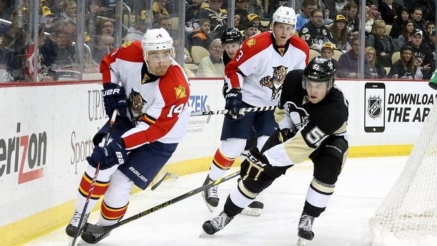 Tomáš Fleischmann (vlevo) bude hrát za Anaheim. Tomáš Fleischmann (vlevo) bude hrát za Anaheim.