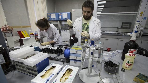 Světová antidopingová agentura (WADA) povolila Rusku, aby se znovu začalo podílet na dopingových kontrolách (ilustrační foto). Světová antidopingová agentura (WADA) povolila Rusku, aby se znovu začalo podílet na dopingových kontrolách (ilustrační foto).