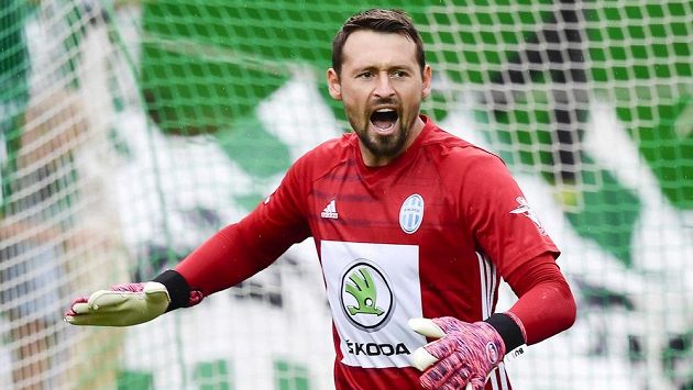 Brankář Mladé Boleslavi Jan Šeda. Brankář Mladé Boleslavi Jan Šeda.