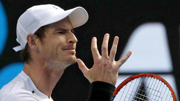 Brit Andy Murray při utkání s Američanem Samem Querreyem na Australian Open. Brit Andy Murray při utkání s Američanem Samem Querreyem na Australian Open.