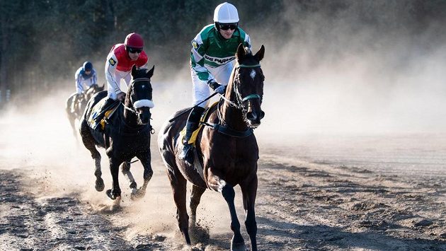 Žokej Josef Váňa mladší na koni No Time To Lose během 128. Velké pardubické. Žokej Josef Váňa mladší na koni No Time To Lose během 128. Velké pardubické.