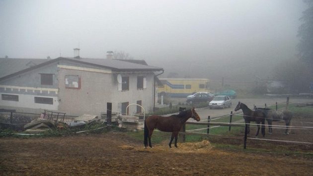 V mlze zahalená farma Na Srdéčku u Hvozdu na Prostějovsku V mlze zahalená farma Na Srdéčku u Hvozdu na Prostějovsku