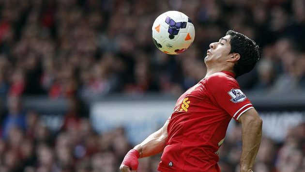 Útočník Liverpoolu Luis Suárez bude mít nového spoluhráče. Útočník Liverpoolu Luis Suárez bude mít nového spoluhráče.
