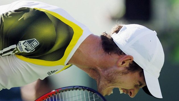 Britský tenista Andy Murray bude na letošním US Open obhajovat titul. Britský tenista Andy Murray bude na letošním US Open obhajovat titul.