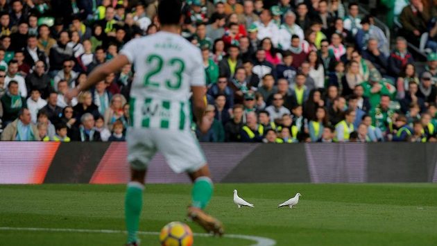 Fotbalisté Betisu Sevilla vyhráli na půdě Málagy. Fotbalisté Betisu Sevilla vyhráli na půdě Málagy.