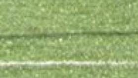 Australský světoběžník Tolgay Özbey. Australský světoběžník Tolgay Özbey.