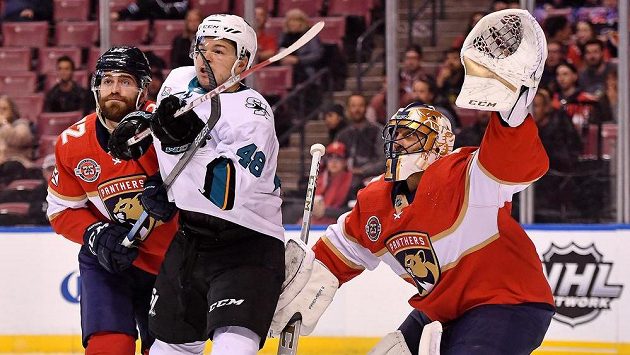 Český útočník Tomáš Hertl se v dresu San Jose v utkání NHL s Floridou neprosadil, brankáře Roberta Luonga (1) nepřekonal. Český útočník Tomáš Hertl se v dresu San Jose v utkání NHL s Floridou neprosadil, brankáře Roberta Luonga (1) nepřekonal.