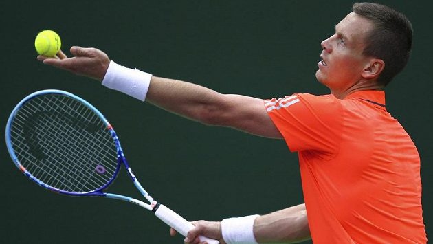 Český tenista Tomáš Berdych postoupil na turnaji v Dauhá do čtvrtfinále. Český tenista Tomáš Berdych postoupil na turnaji v Dauhá do čtvrtfinále.