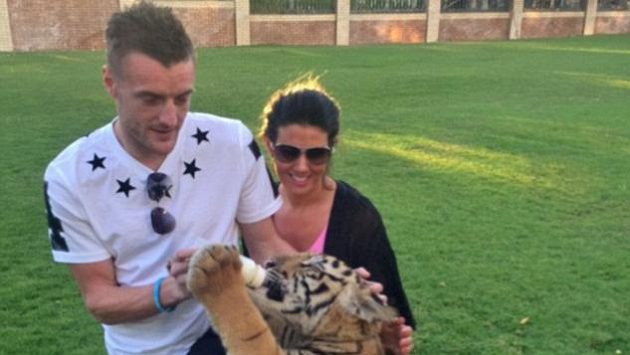 Kanonýr Leicesteru Vardy krmil v Dubají malého tygra. Kanonýr Leicesteru Vardy krmil v Dubají malého tygra.