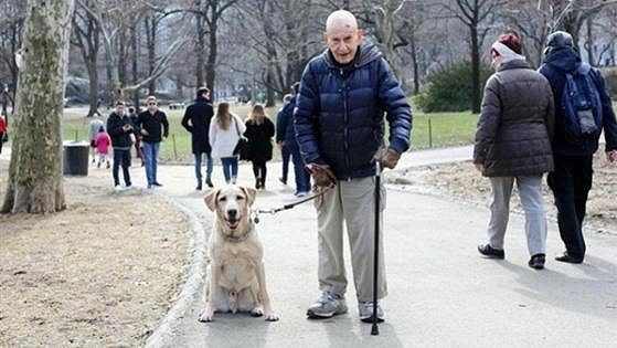 Instagram Humans of New York předstsvil zajímavého běžce. Co říkáte? Instagram Humans of New York předstsvil zajímavého běžce. Co říkáte?