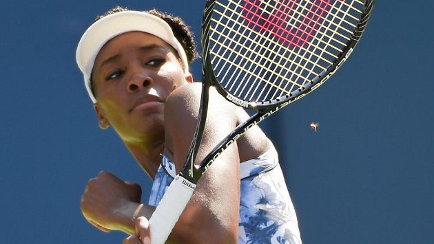 Venus Williamsová uhýbá na US Open včelímu ataku. Venus Williamsová uhýbá na US Open včelímu ataku.