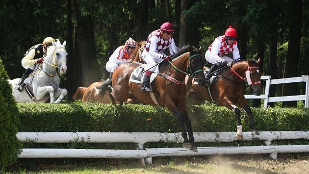 Josef Váňa s Tiumenem v čele pole při letním Kuchovského memoriálu. Josef Váňa s Tiumenem v čele pole při letním Kuchovského memoriálu.