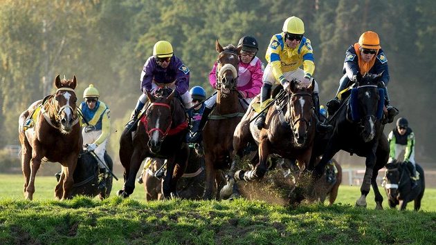 Velká pardubická se koná již po 128. Velká pardubická se koná již po 128.
