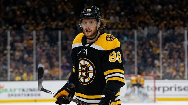 Hokejového útočníka Davida Pastrňáka z Bostonu zasáhla obrovská tragédie. Hokejového útočníka Davida Pastrňáka z Bostonu zasáhla obrovská tragédie.