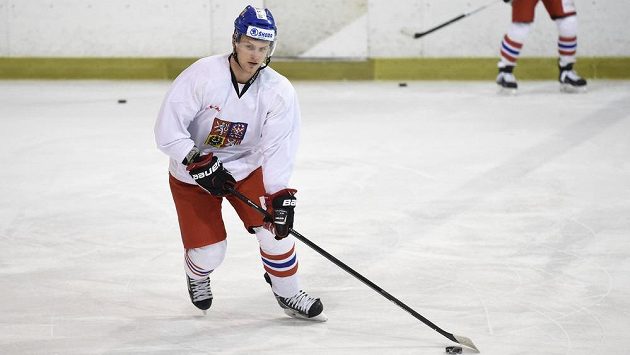 Vladimír Sobotka během tréninku české hokejové reprezentace. Vladimír Sobotka během tréninku české hokejové reprezentace.