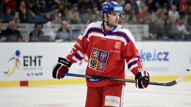 Český útočník Michal Birner. Český útočník Michal Birner.