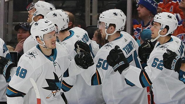Tomáš Hertl (48) ze San Jose přijímá gratulace od spoluhráčů ke svému prvnímu gólu. Tomáš Hertl (48) ze San Jose přijímá gratulace od spoluhráčů ke svému prvnímu gólu.