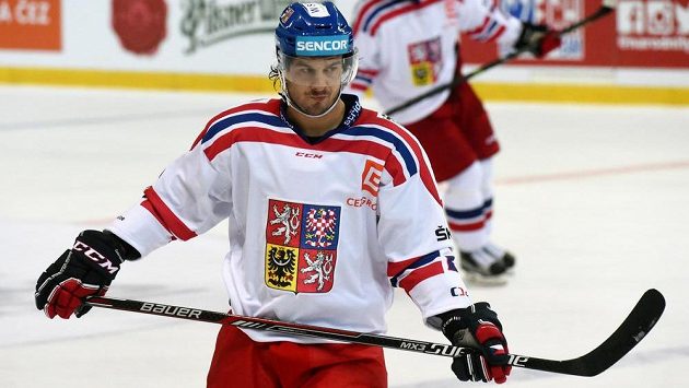 Útočník Martin Zaťovič během utkání s Německem. Útočník Martin Zaťovič během utkání s Německem.
