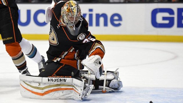 Gólman Anaheimu John Gibson při utkání se San Jose. Gólman Anaheimu John Gibson při utkání se San Jose.