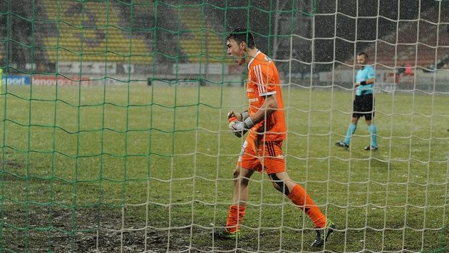 Brankář Martin Jedlička na snímku ještě v příbramském dresu. Brankář Martin Jedlička na snímku ještě v příbramském dresu.