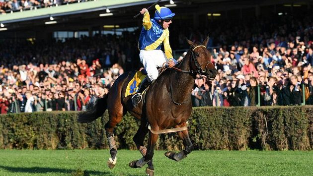 Vítězný žokej Jan Faltejsek s koněm Tzigane Du Berlais v cíli 128. Velké pardubické steeplechase. Vítězný žokej Jan Faltejsek s koněm Tzigane Du Berlais v cíli 128. Velké pardubické steeplechase.