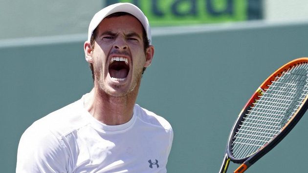 Britský tenista Andy Murray. Britský tenista Andy Murray.