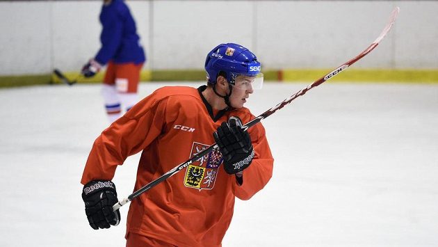 Tomáš Hertl na Světový pohár nakonec neodjede. Tomáš Hertl na Světový pohár nakonec neodjede.