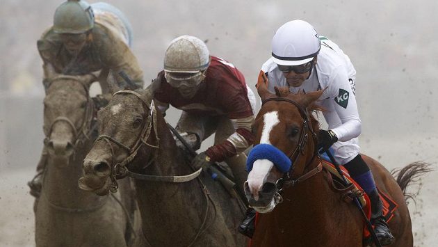 Hřebec Justify s žokejem Mikem Smithem (zcela vpravo) zvítězil ve 143. Preakness Stakes v Baltimoru. Hřebec Justify s žokejem Mikem Smithem (zcela vpravo) zvítězil ve 143. Preakness Stakes v Baltimoru.