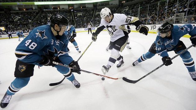 Útočník San Jose Tomáš Hertl (vlevo) v souboji s Derrickem Pouliotem z Pittsburghu. Vpravo je forvard Žraloků Melker Karlsson. Útočník San Jose Tomáš Hertl (vlevo) v souboji s Derrickem Pouliotem z Pittsburghu. Vpravo je forvard Žraloků Melker Karlsson.