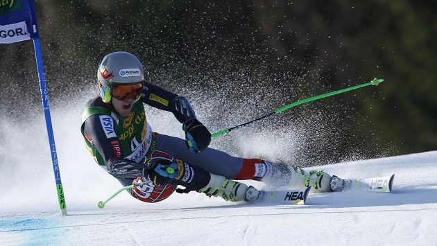 Ted Ligety na trati obřího slalomu ve slovinské Kranjské Goře. Ted Ligety na trati obřího slalomu ve slovinské Kranjské Goře.