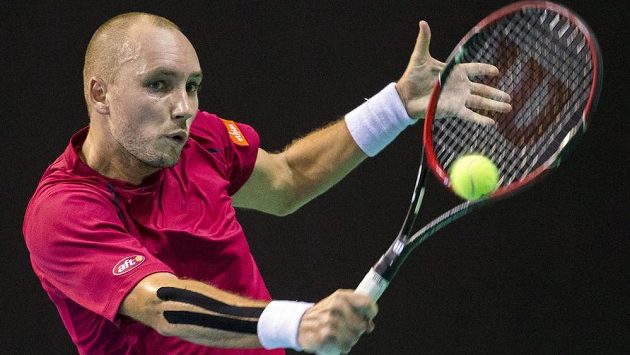 Steve Darcis je oporou belgického daviscupového týmu. Steve Darcis je oporou belgického daviscupového týmu.