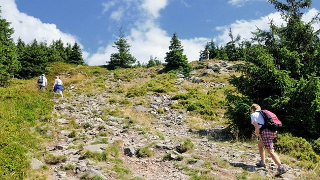 Na Králickém Sněžníku vystřídají turisty projednou běžci. Na Králickém Sněžníku vystřídají turisty projednou běžci.
