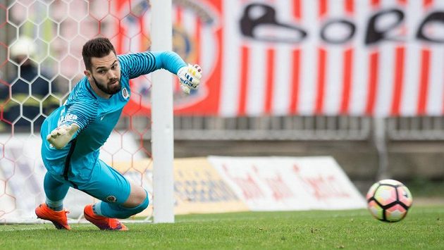 Brankář Sparty Tomáš Koubek. Brankář Sparty Tomáš Koubek.