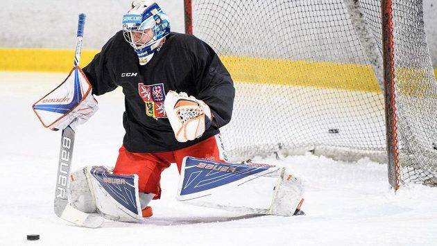 Dominik Hrachovina na tréninku hokejové reprezentace. Dominik Hrachovina na tréninku hokejové reprezentace.