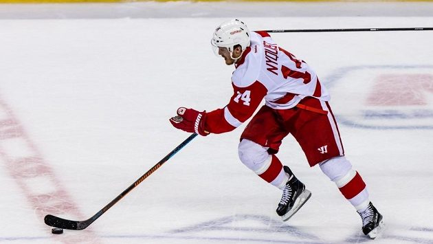 Gustav Nyquist bude v NHL pokračovat v dresu Detroitu. Gustav Nyquist bude v NHL pokračovat v dresu Detroitu.