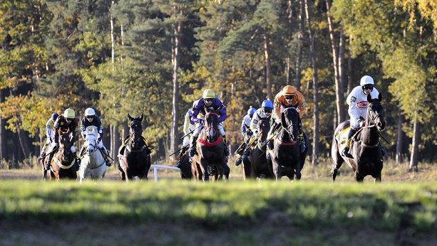 123. ročník Velké pardubické v plném proudu. Vpravo pozdější vítězka Orphee des Blins s žokejem Janem Faltejskem. 123. ročník Velké pardubické v plném proudu. Vpravo pozdější vítězka Orphee des Blins s žokejem Janem Faltejskem.