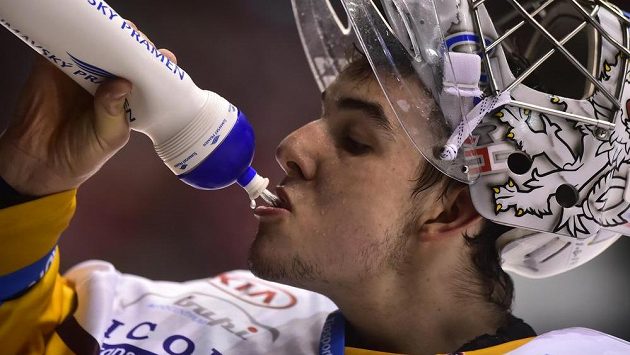 Jihlavský brankář Jakub Škarek. Jihlavský brankář Jakub Škarek.