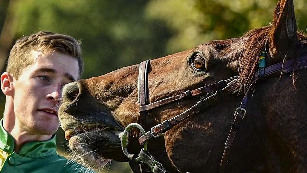 Vítězný Talent s žokejem Pavlem Složilem. Vítězný Talent s žokejem Pavlem Složilem.